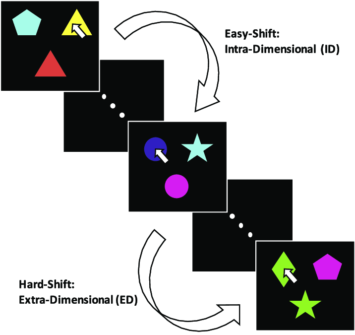 MEG-compatible IED task